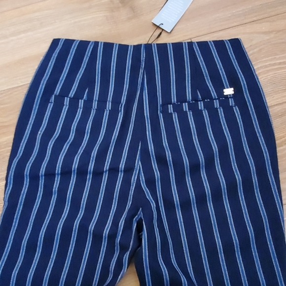 Future Me Stone Row Volcom Striped Blue Pants - Picture 6 of 7